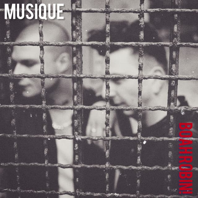 Musique cover