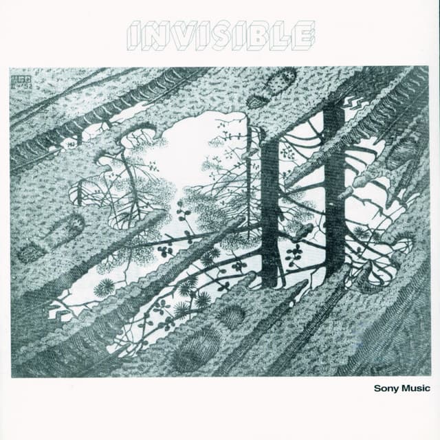 Invisible cover