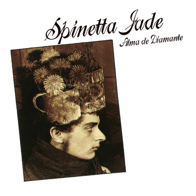 Alma de Diamante cover