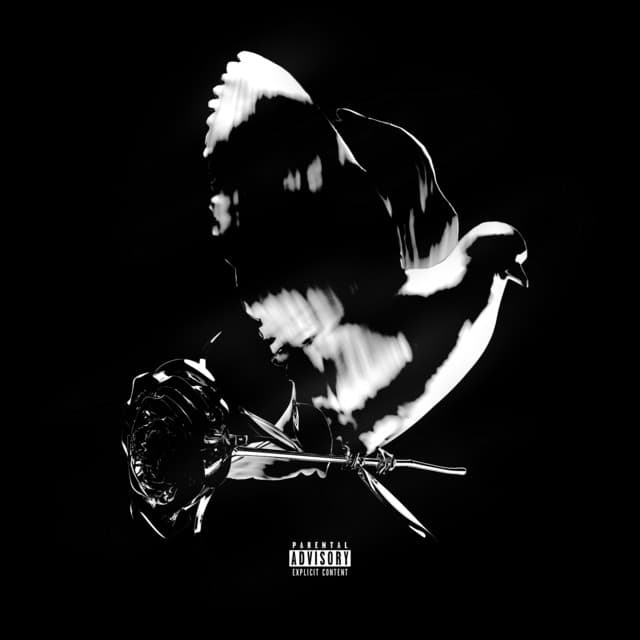 Shoot For The Stars Aim For The Moon (Deluxe) cover
