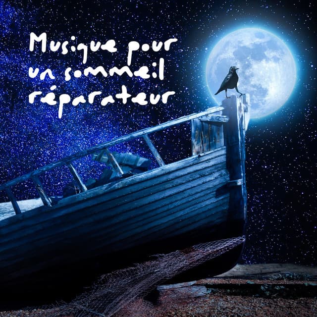 Musique pour un sommeil réparateur (Des sons relaxants de la nature, Insomnie traitement naturel, Ondes delta, Rêver et dormir profondément) cover