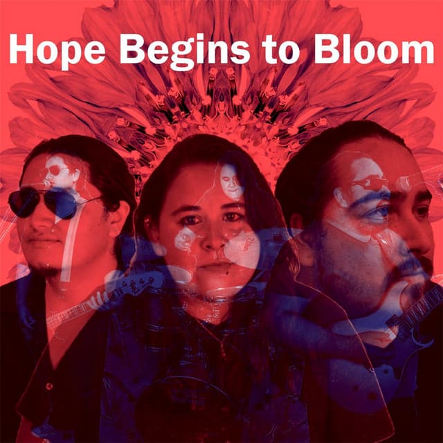 Hope Begins to Bloom cover