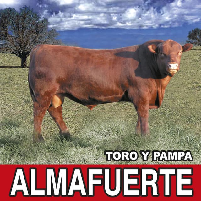 Toro y Pampa (Remasterizado 2021) cover