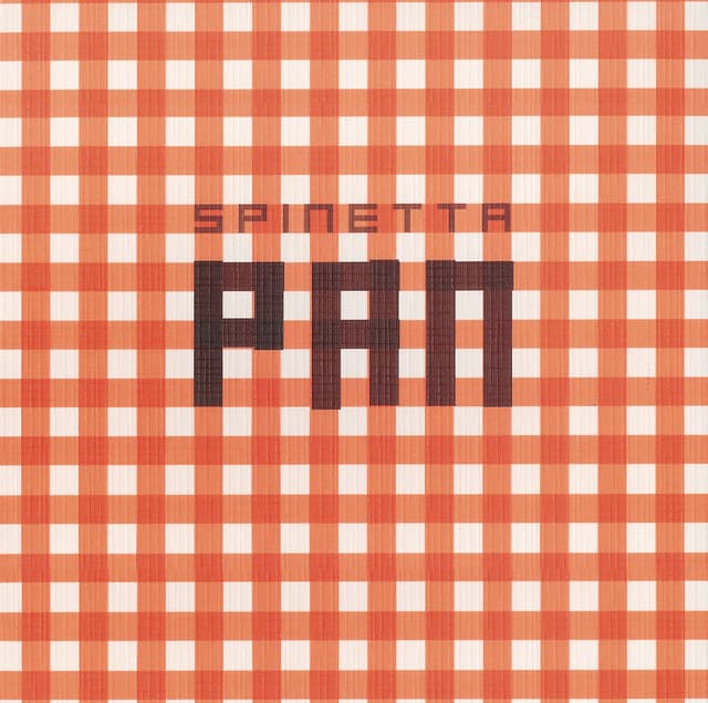 Pan cover