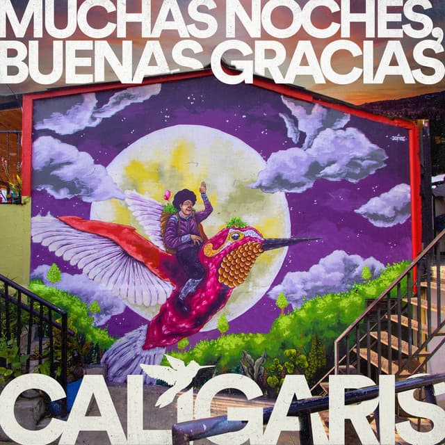 Muchas Noches, Buenas Gracias cover
