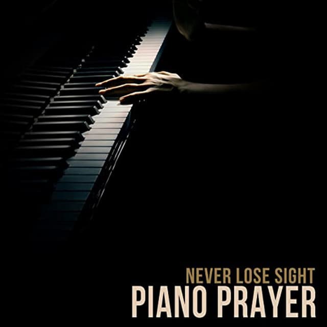 Never Lose Sight cover