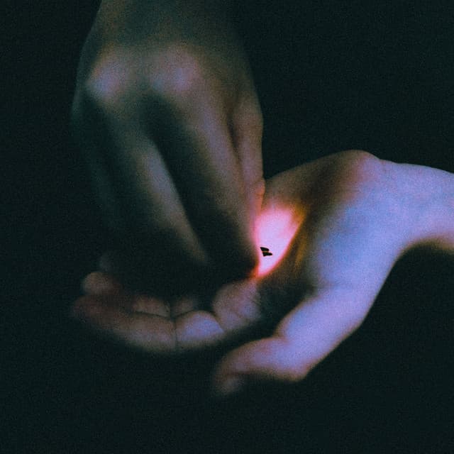 Stray cover