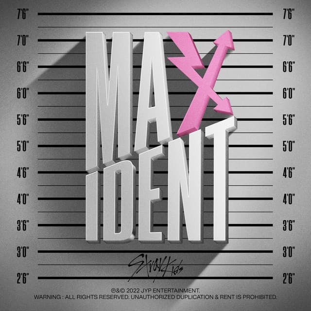 MAXIDENT cover