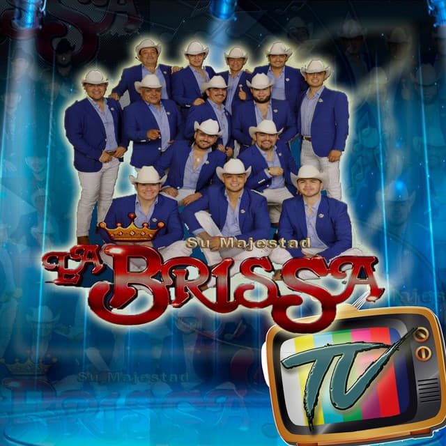Tv cover