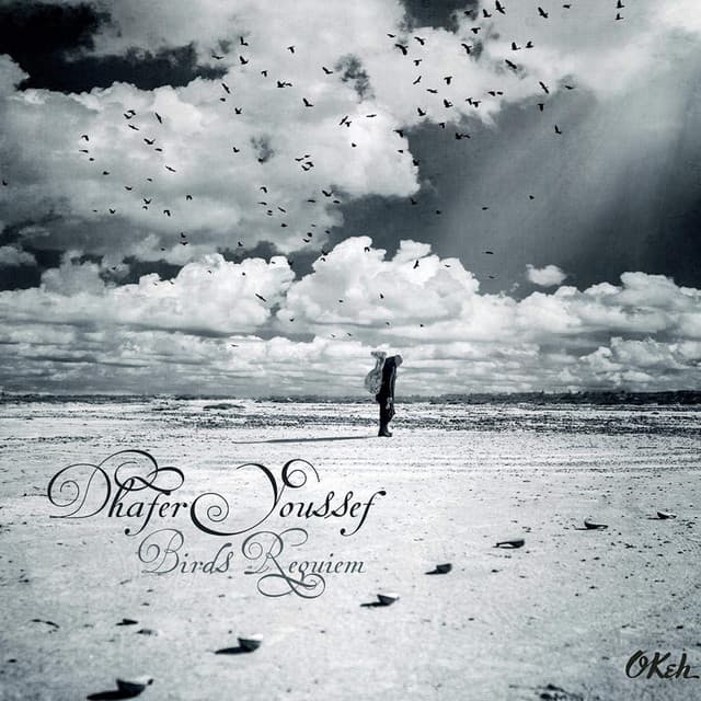 Birds Requiem cover