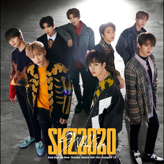 SKZ2020 cover