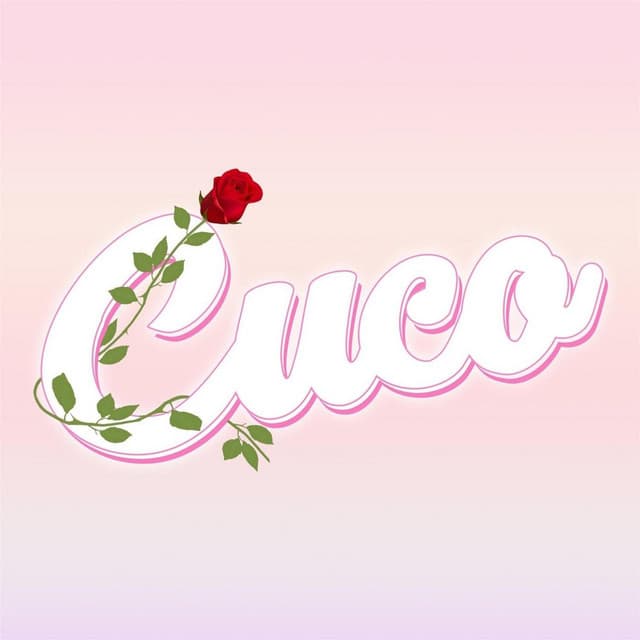 Songs4u cover