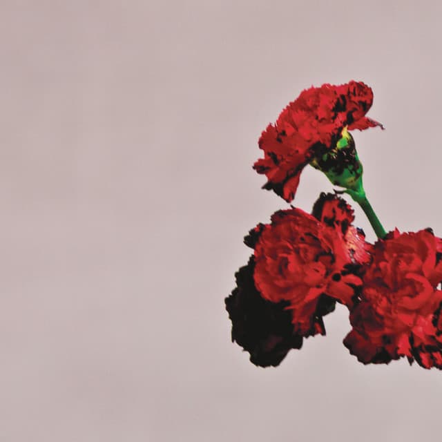 Love In The Future (Expanded Edition) cover