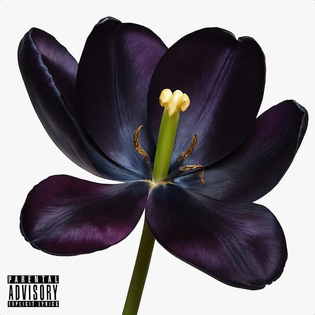 Art cover