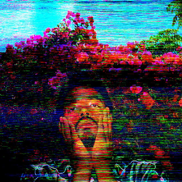 TV cover