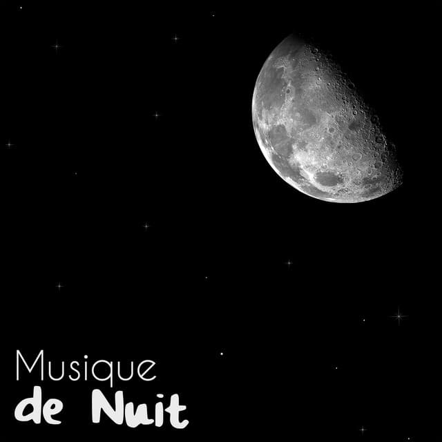 Musique de Nuit cover