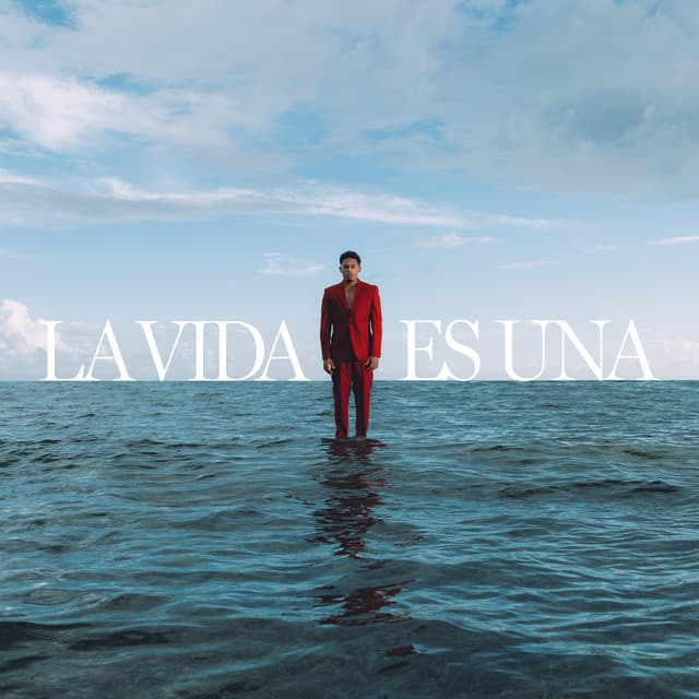 LA VIDA ES UNA cover