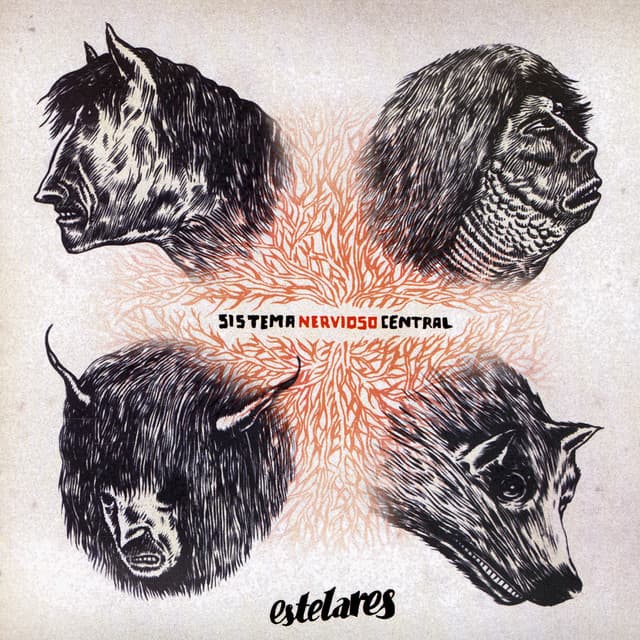 Sistema Nervioso Central cover