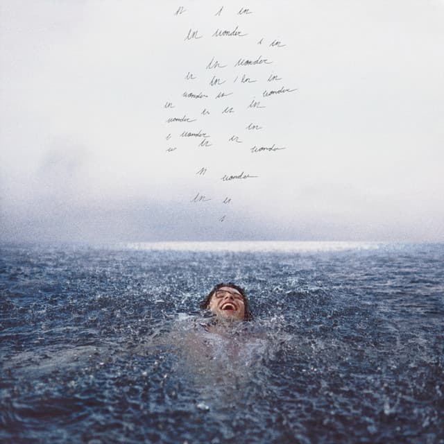 Wonder (Deluxe) cover